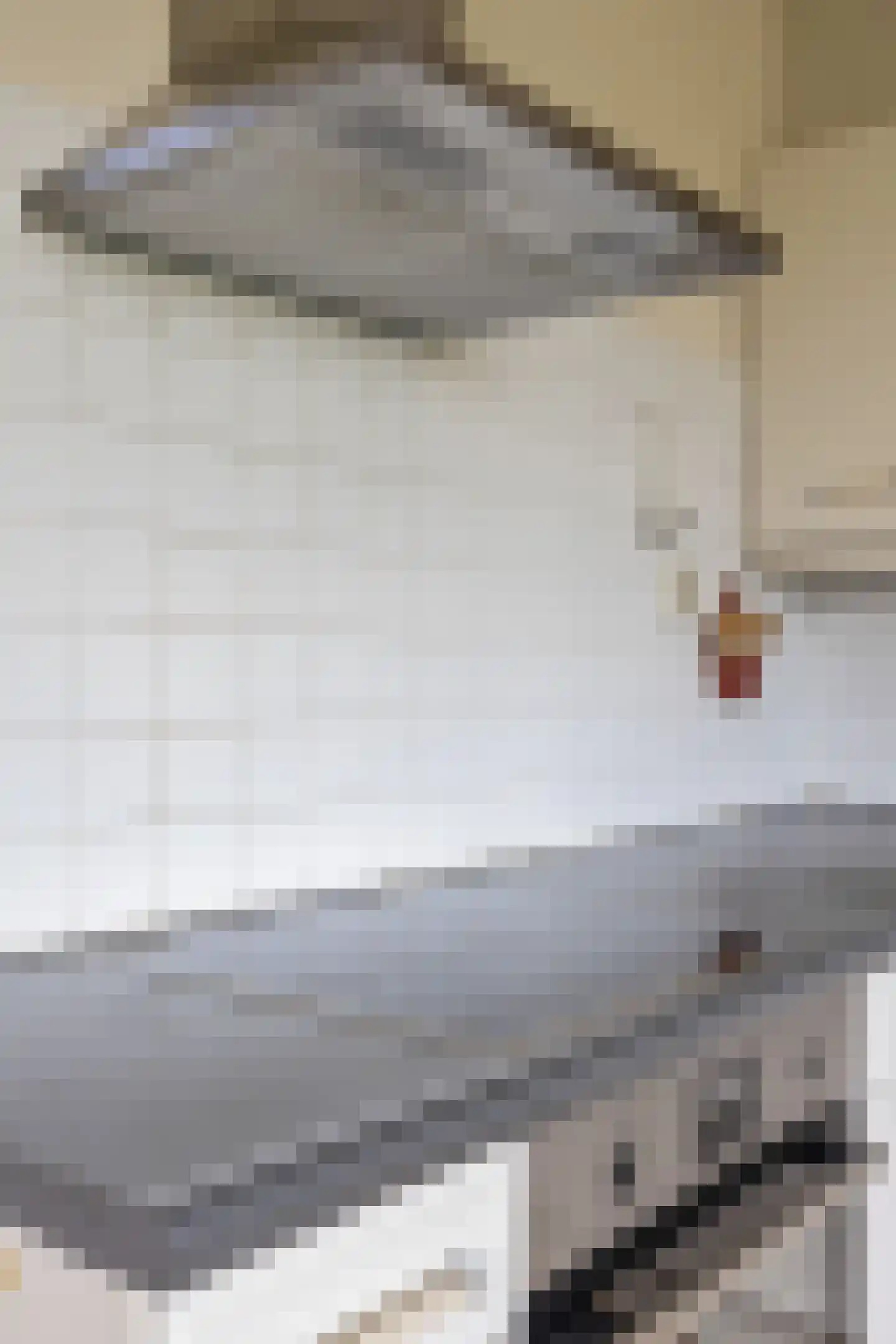 Nieuwestreek 51 Ezinge thumbnail 26