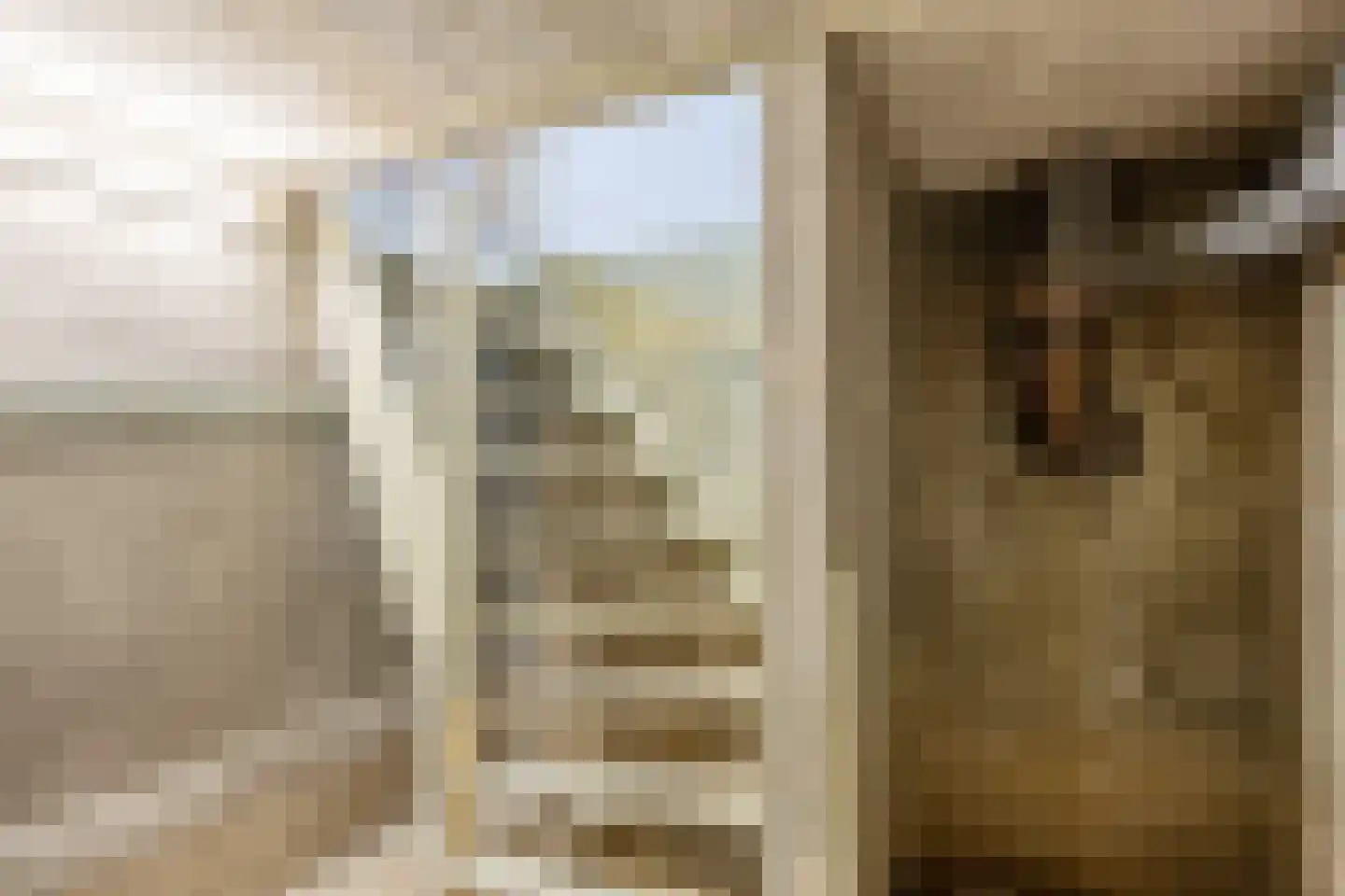 Nieuwestreek 51 Ezinge thumbnail 29