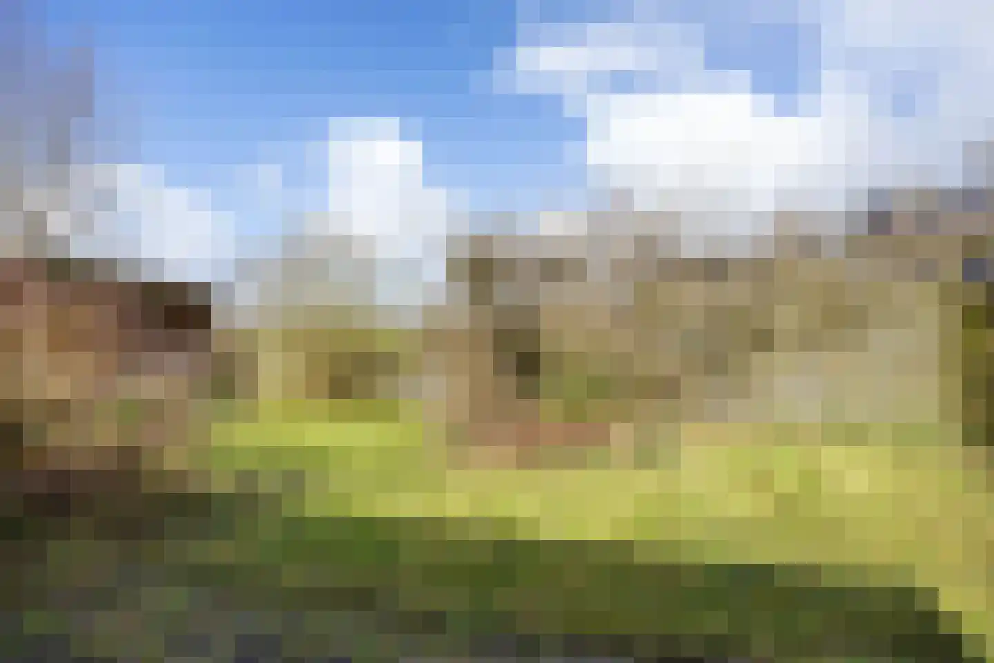 Nieuwestreek 51 Ezinge thumbnail 43