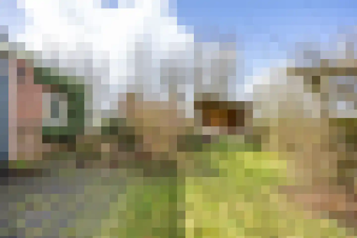 Nieuwestreek 51 Ezinge thumbnail 44