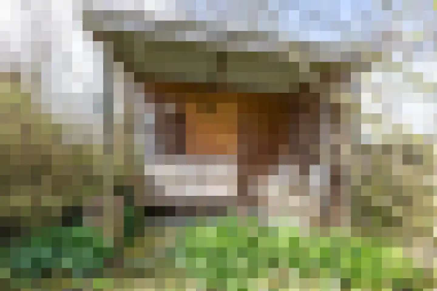 Nieuwestreek 51 Ezinge thumbnail 47