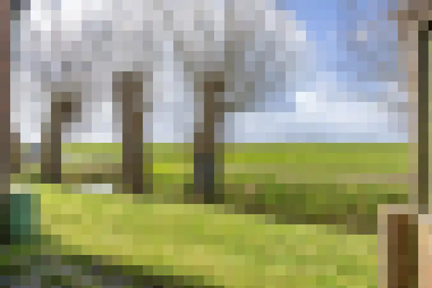 Nieuwestreek 51 Ezinge thumbnail 48