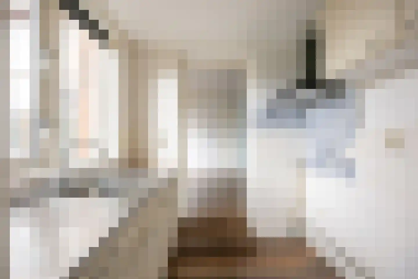 Nieuwestreek 57 Ezinge thumbnail 15