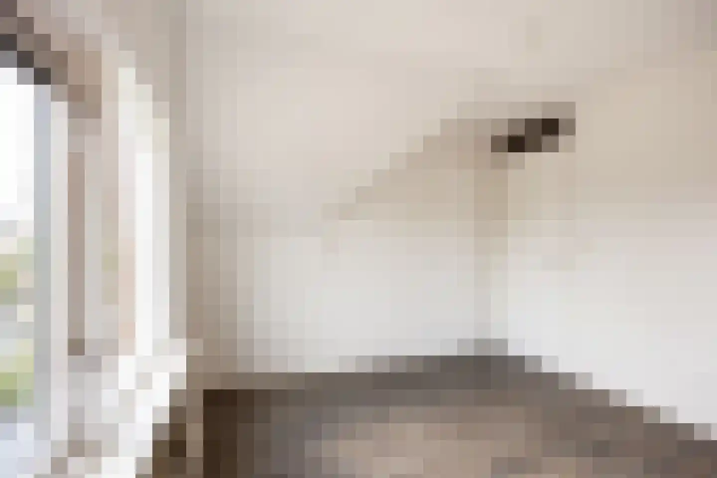 Nieuwestreek 57 Ezinge thumbnail 21