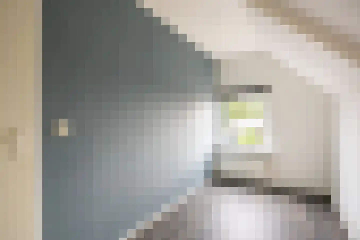 Nieuwestreek 57 Ezinge thumbnail 24