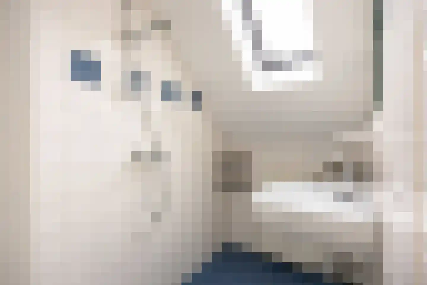 Nieuwestreek 57 Ezinge thumbnail 26