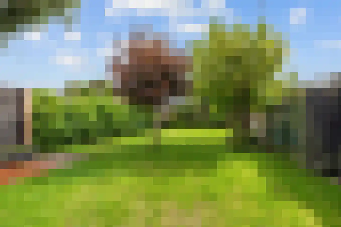 Nieuwestreek 57 Ezinge thumbnail 29