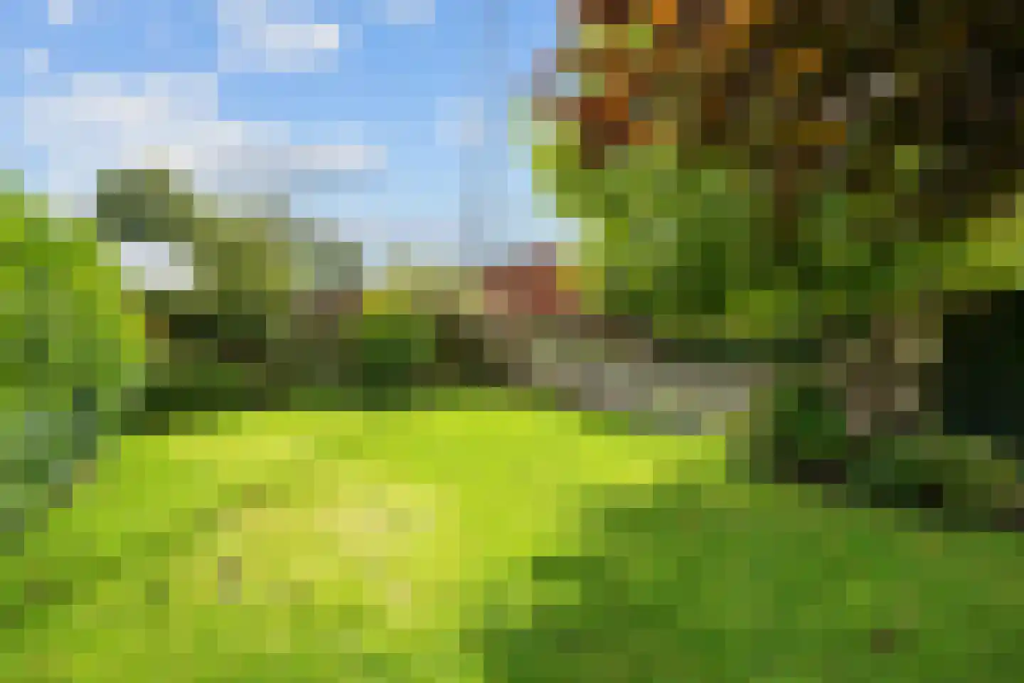 Nieuwestreek 57 Ezinge thumbnail 30