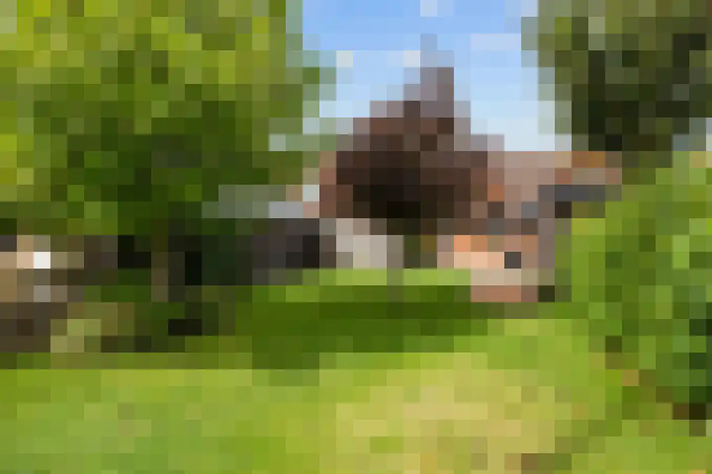 Nieuwestreek 57 Ezinge thumbnail 31