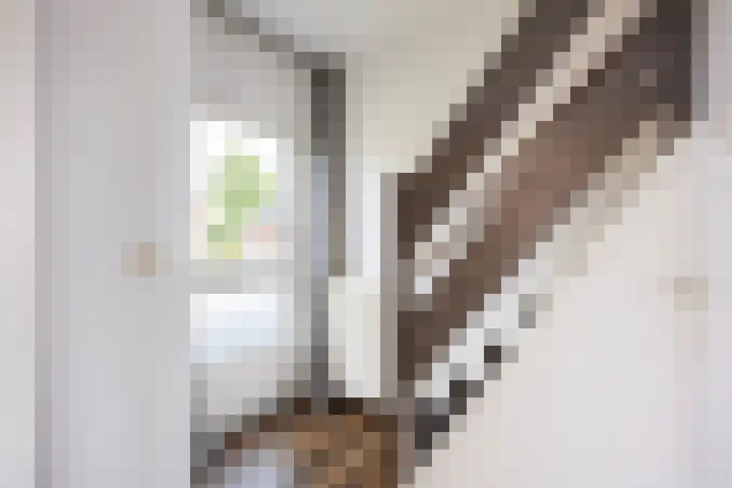 Nieuwestreek 57 Ezinge thumbnail 7