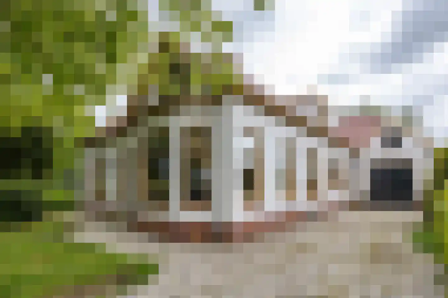 Nieuwestreek 79 Ezinge