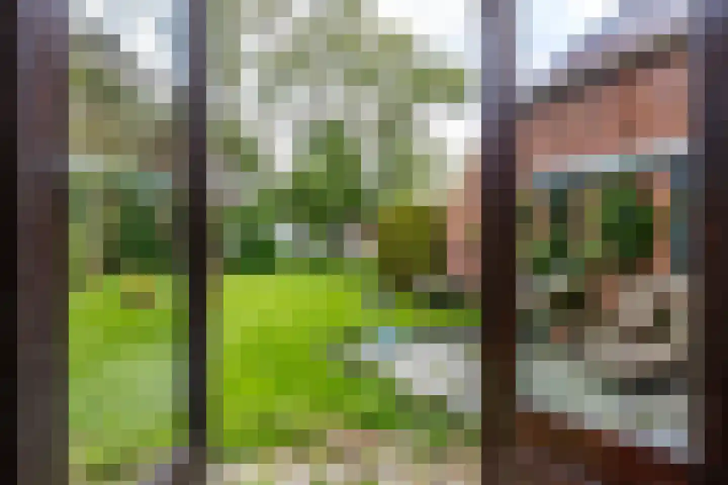 Nieuwestreek 79 Ezinge thumbnail 23
