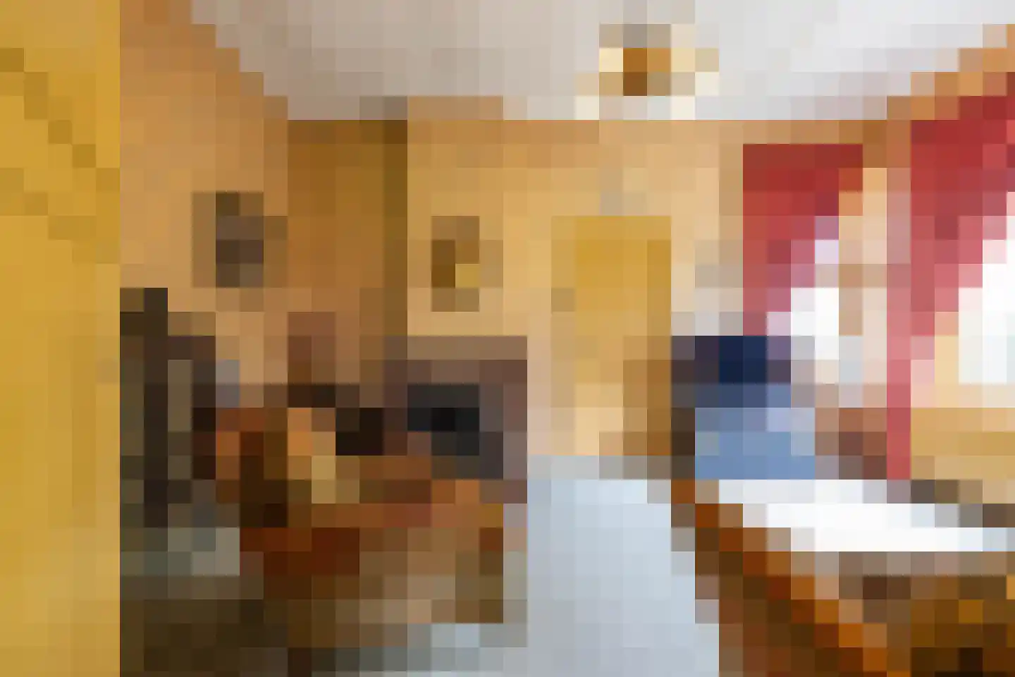Nieuwestreek 79 Ezinge thumbnail 27