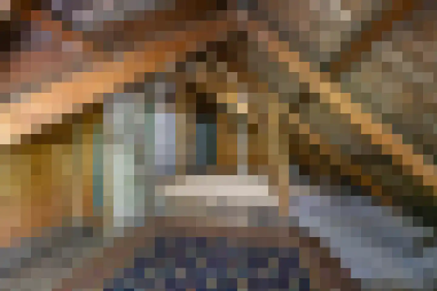 Nieuwestreek 79 Ezinge thumbnail 40