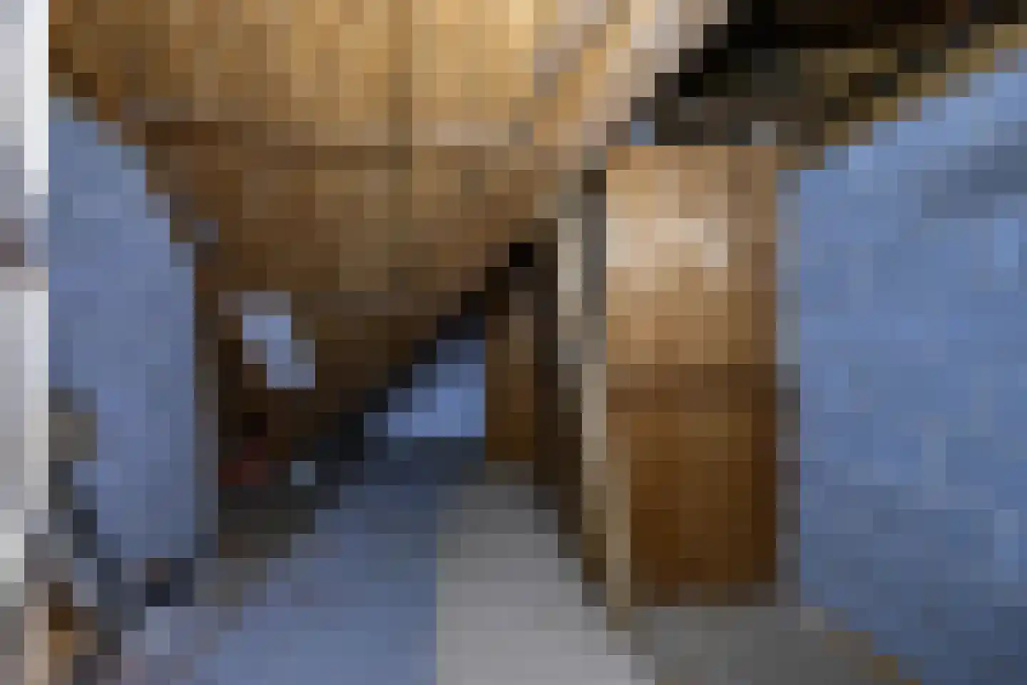 Nieuwestreek 79 Ezinge thumbnail 41