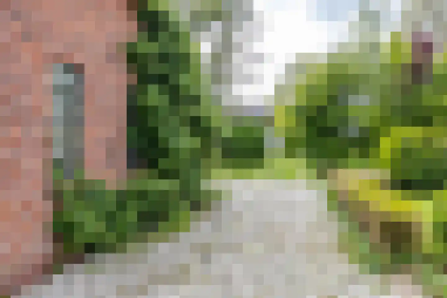 Nieuwestreek 79 Ezinge thumbnail 45