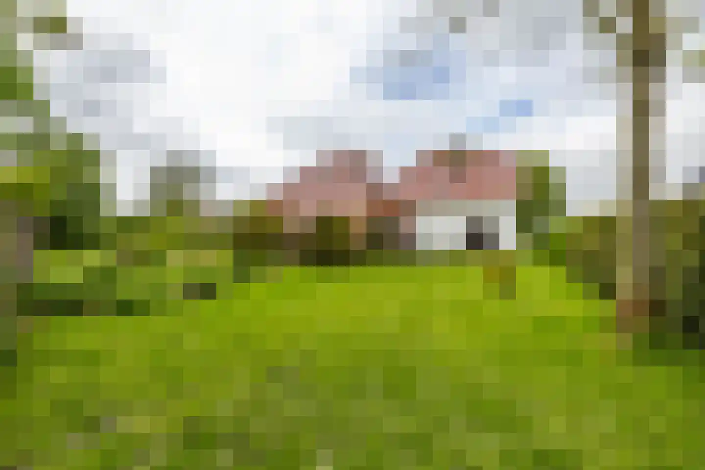 Nieuwestreek 79 Ezinge thumbnail 47
