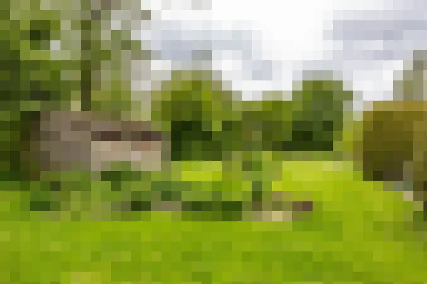 Nieuwestreek 79 Ezinge thumbnail 48