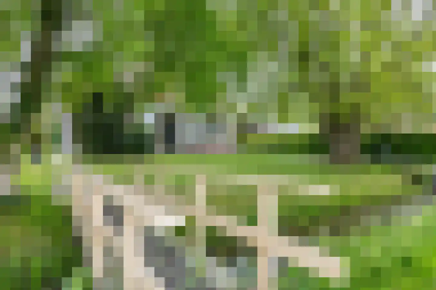 Nieuwestreek 79 Ezinge thumbnail 5