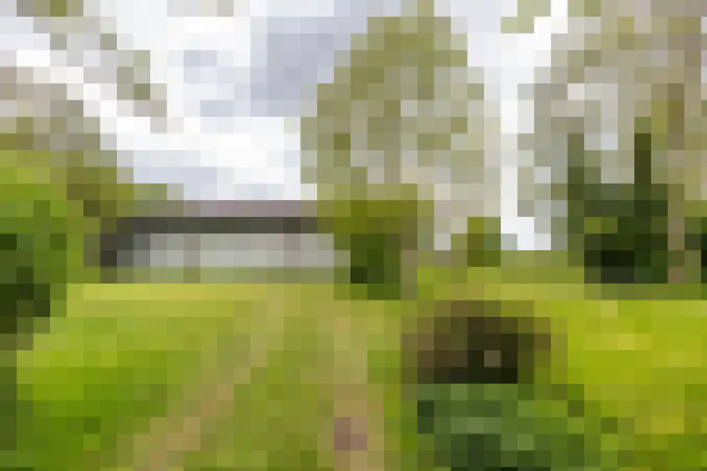 Nieuwestreek 79 Ezinge thumbnail 50