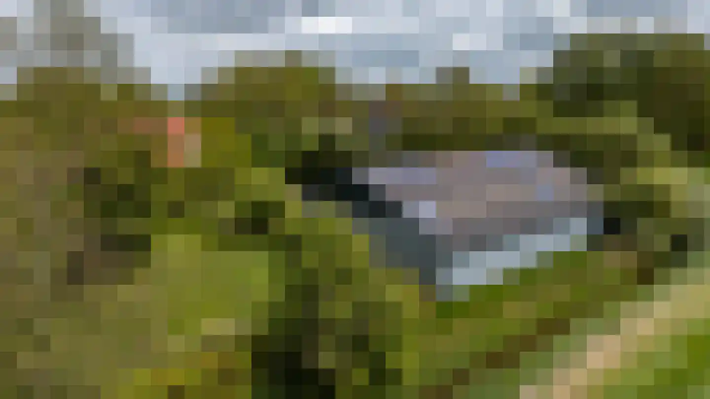 Nieuwestreek 79 Ezinge thumbnail 52