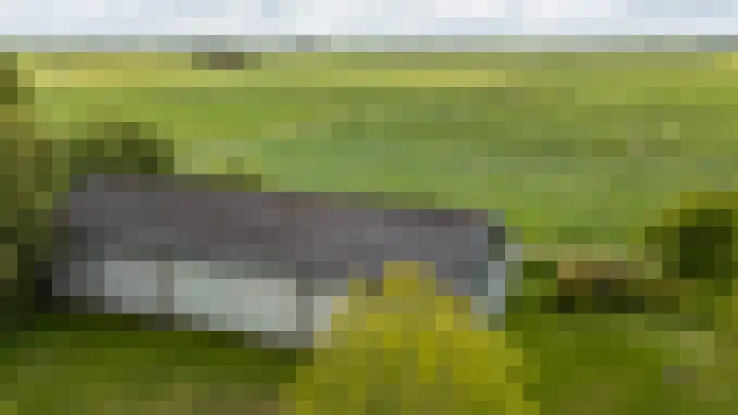 Nieuwestreek 79 Ezinge thumbnail 53