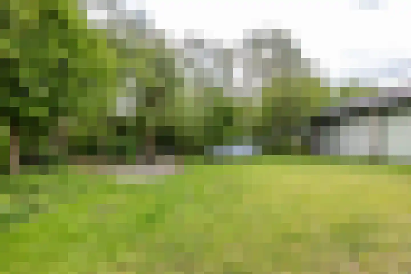 Nieuwestreek 79 Ezinge thumbnail 54