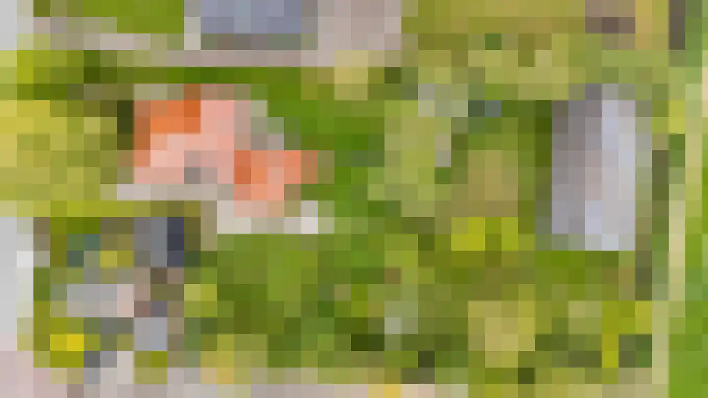 Nieuwestreek 79 Ezinge thumbnail 58