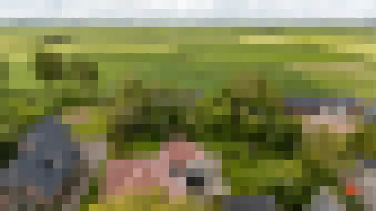 Nieuwestreek 79 Ezinge thumbnail 59