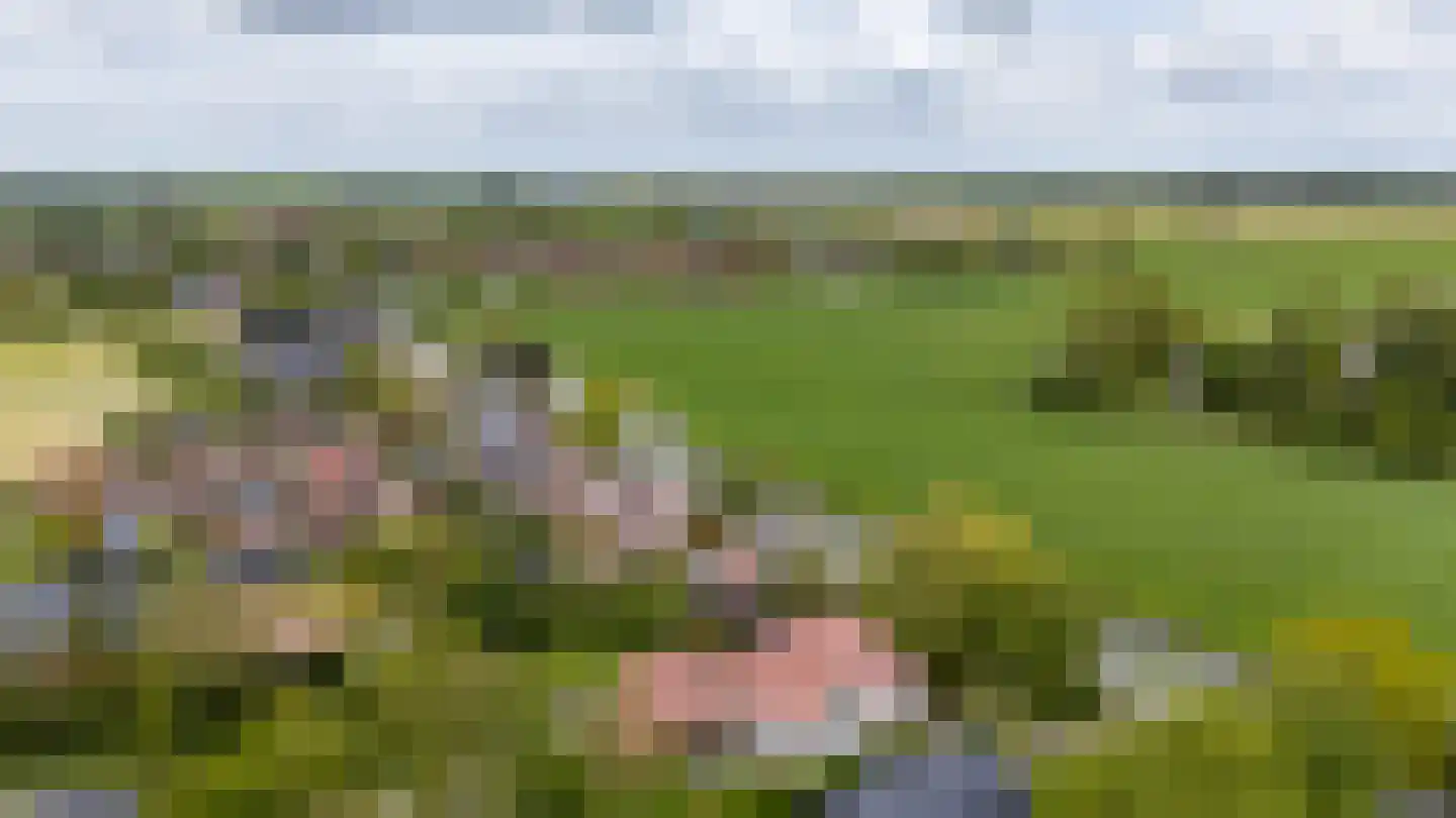 Nieuwestreek 79 Ezinge thumbnail 60