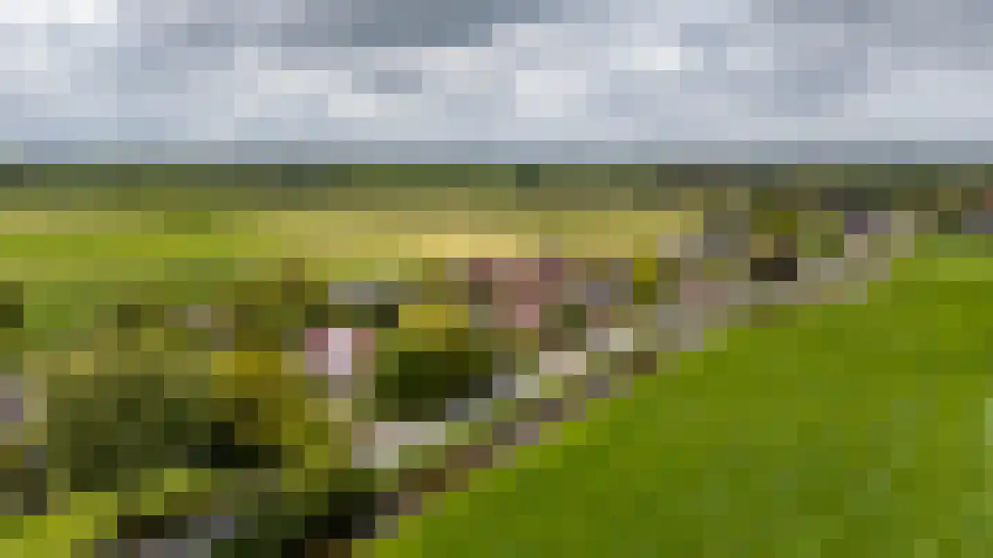 Nieuwestreek 79 Ezinge thumbnail 61