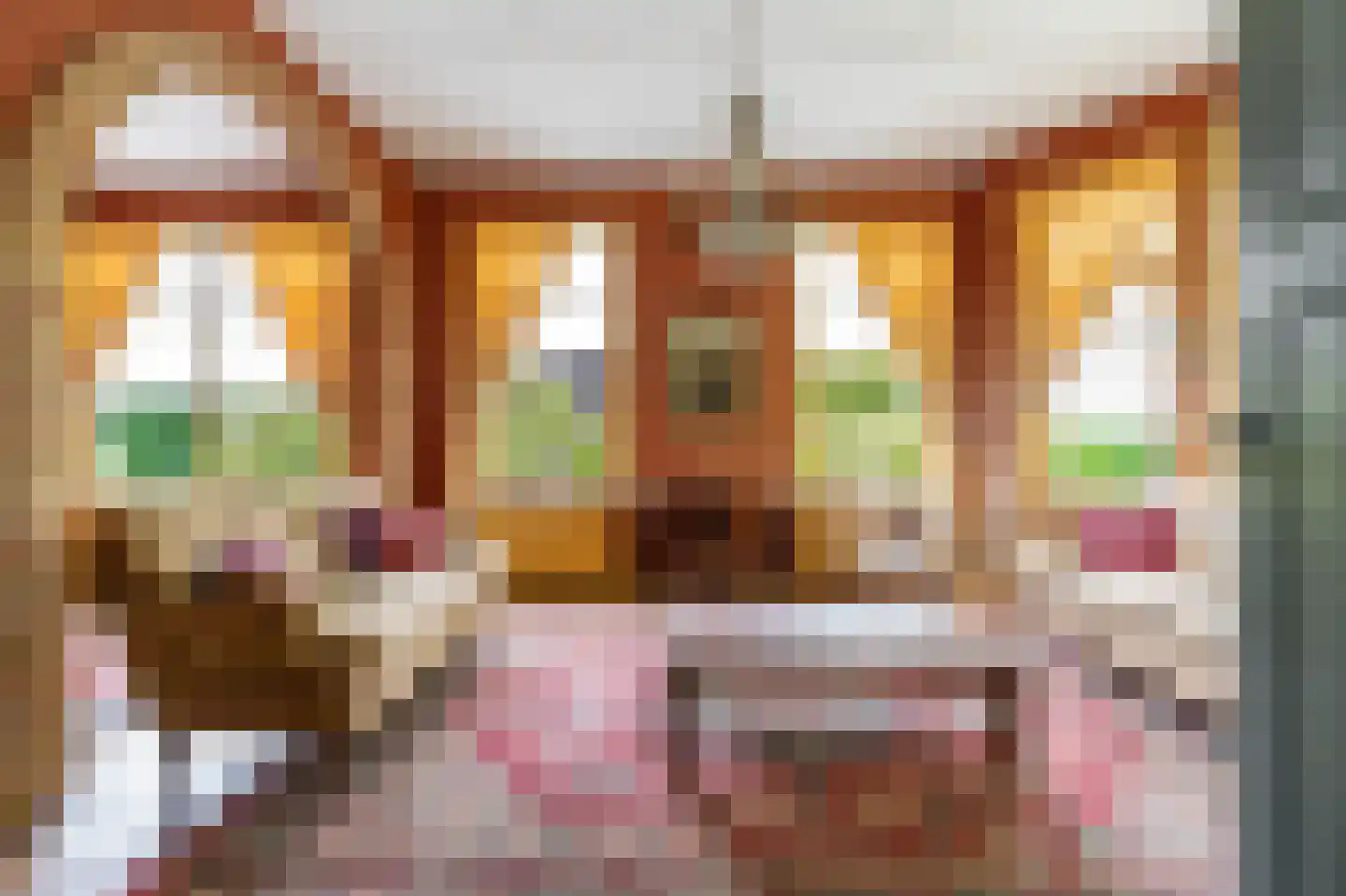 Nieuwestreek 79 Ezinge thumbnail 7