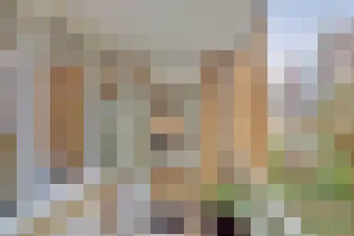 Nieuwevaart 101 Amsterdam thumbnail 27
