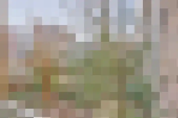 Nieuwevaart 101 Amsterdam thumbnail 28