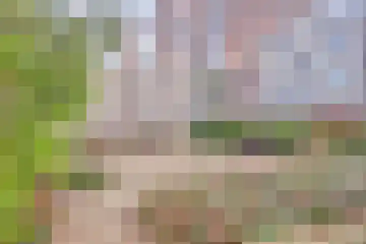 Nieuwevaart 101 Amsterdam thumbnail 30