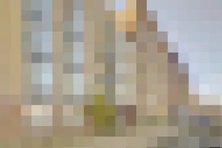 Nieuwevaart 101 Amsterdam thumbnail 31