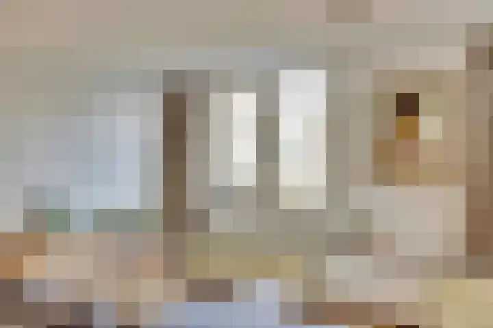 Nieuwevaart 101 Amsterdam thumbnail 4