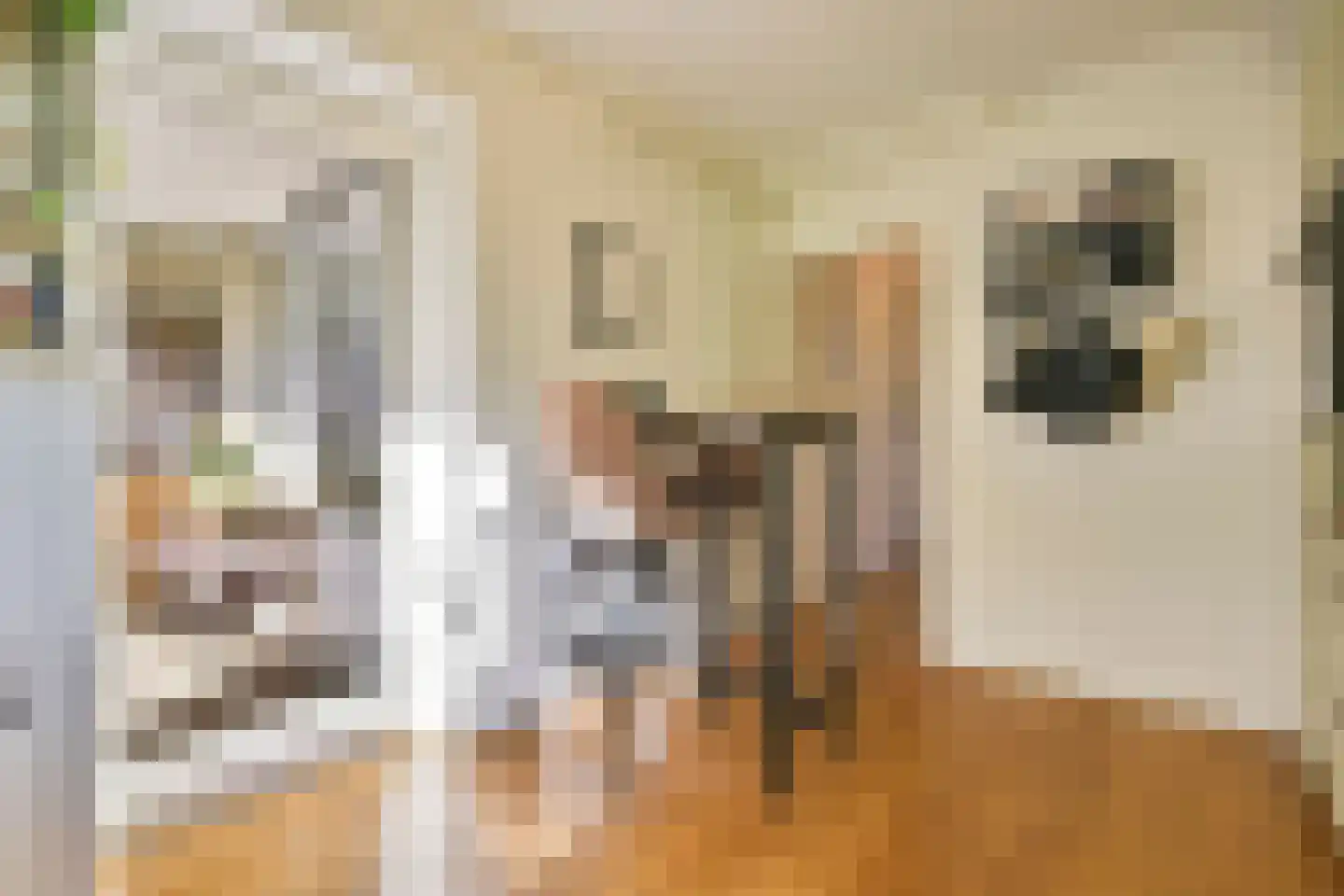 Nieuwevaart 102 Amsterdam thumbnail 20