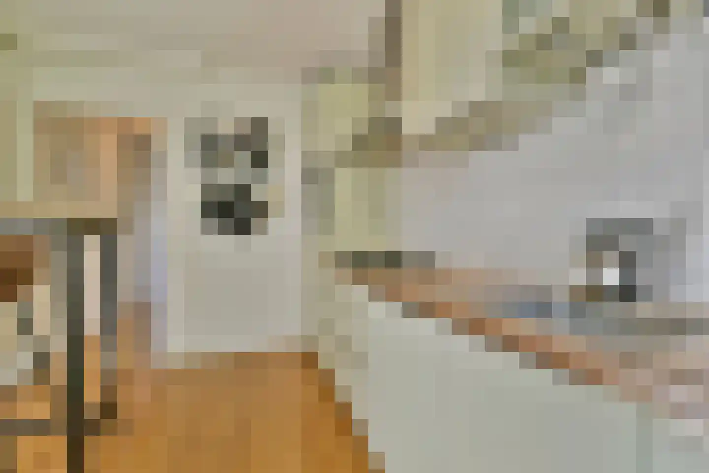 Nieuwevaart 102 Amsterdam thumbnail 6