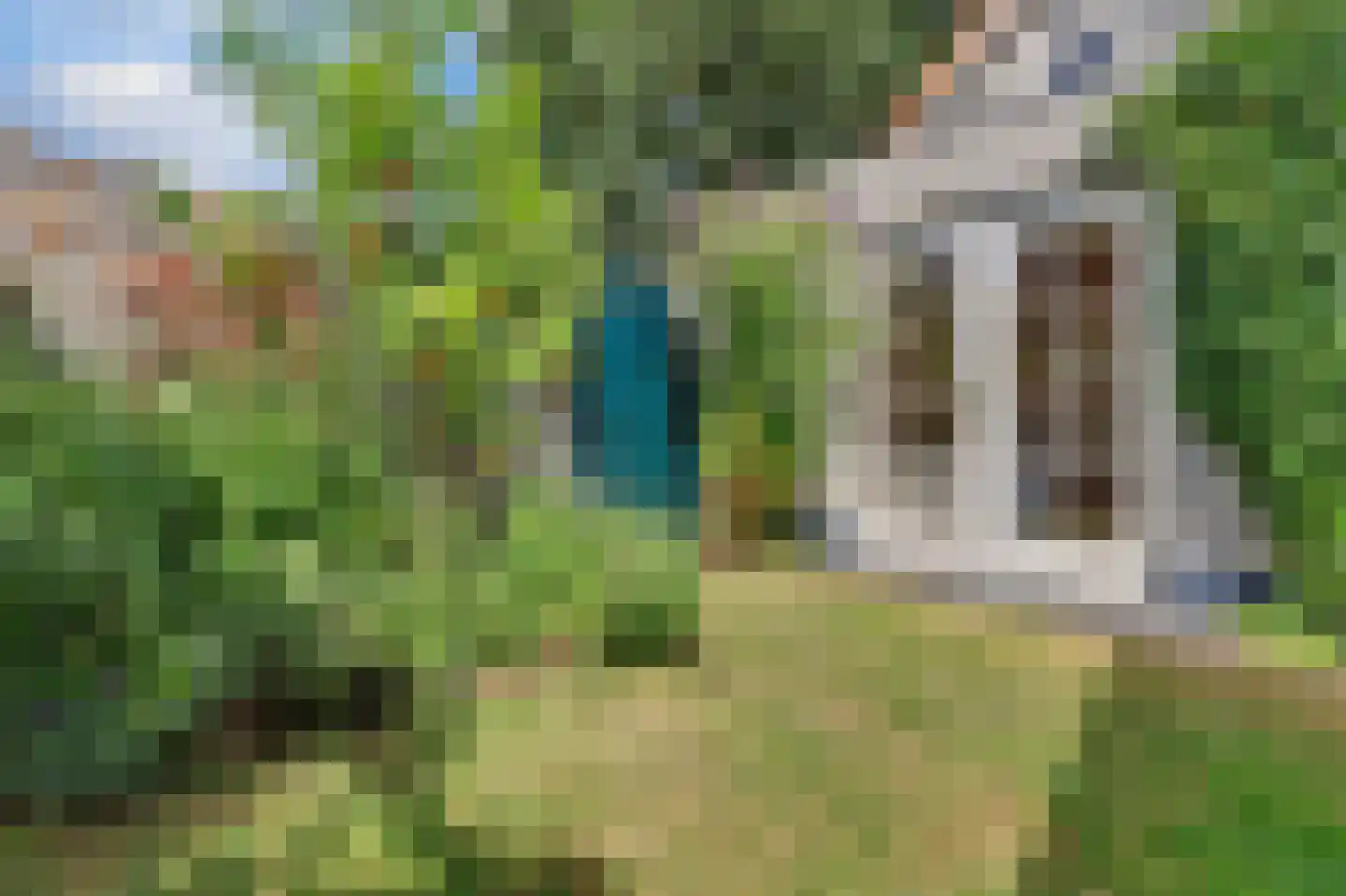 Nieuwevaart 120 Sprang-Capelle thumbnail 33