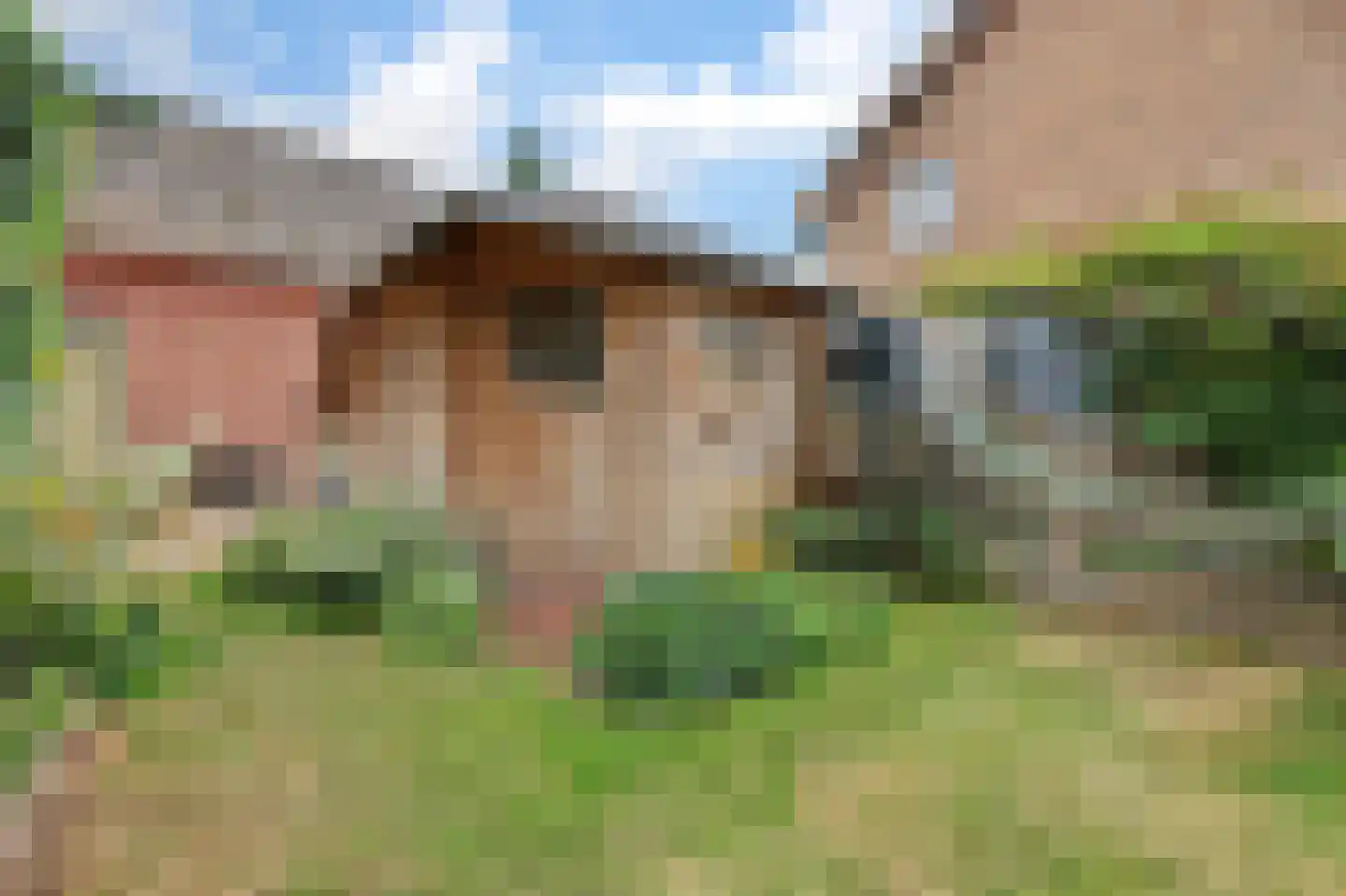 Nieuwevaart 120 Sprang-Capelle thumbnail 36