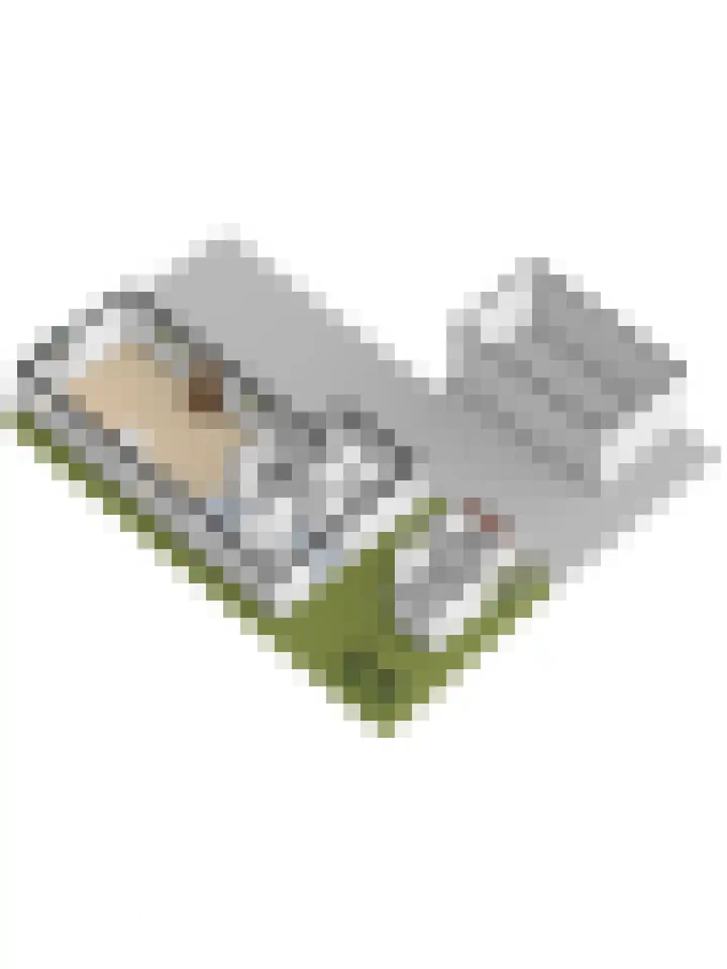 Nieuwevaart 120 Sprang-Capelle thumbnail 54