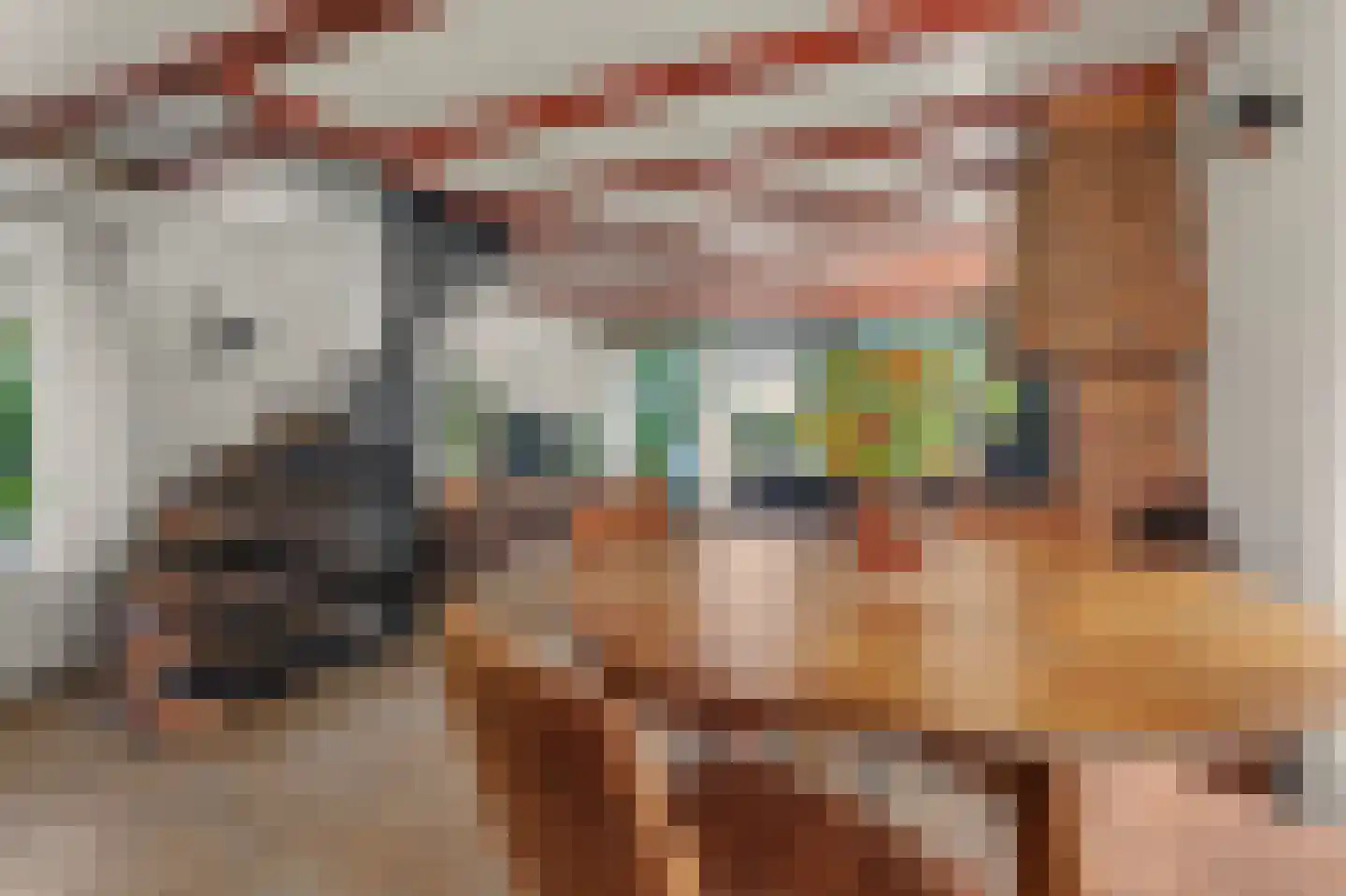 Nieuwevaart 120 Sprang-Capelle thumbnail 8
