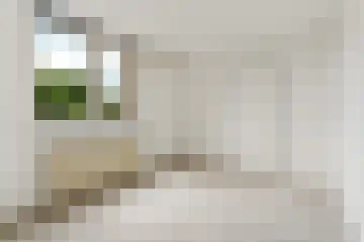Nieuwevaart 133 Amsterdam thumbnail 19