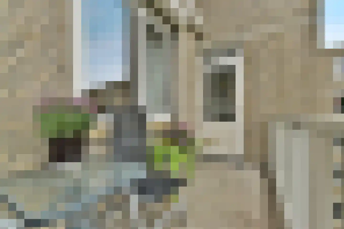 Nieuwevaart 151 Amsterdam thumbnail 11