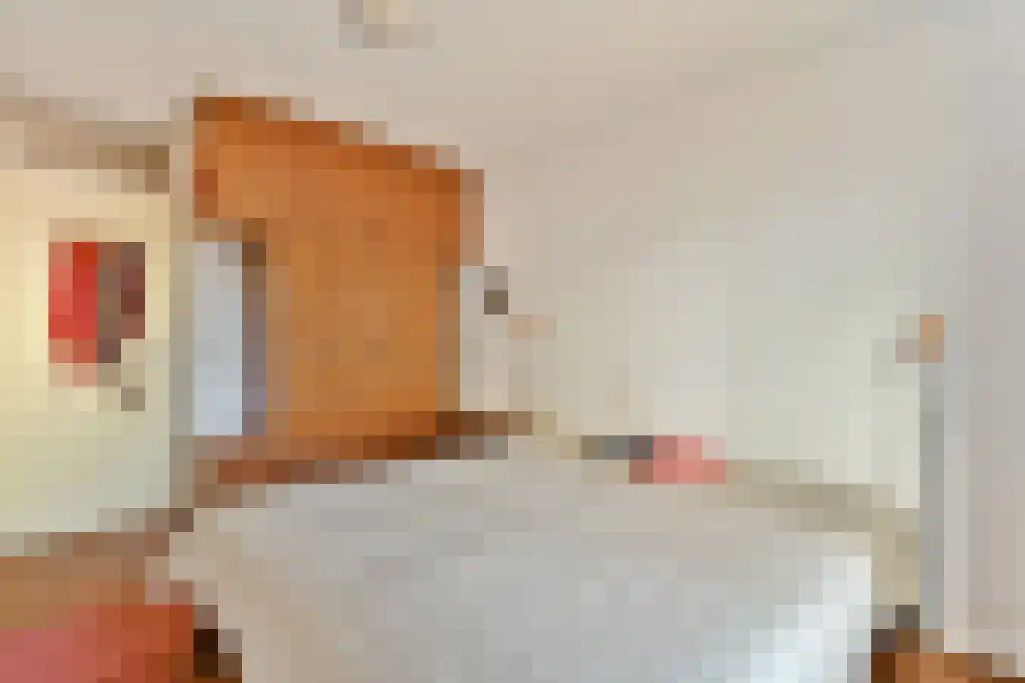 Nieuwevaart 197 Amsterdam thumbnail 17