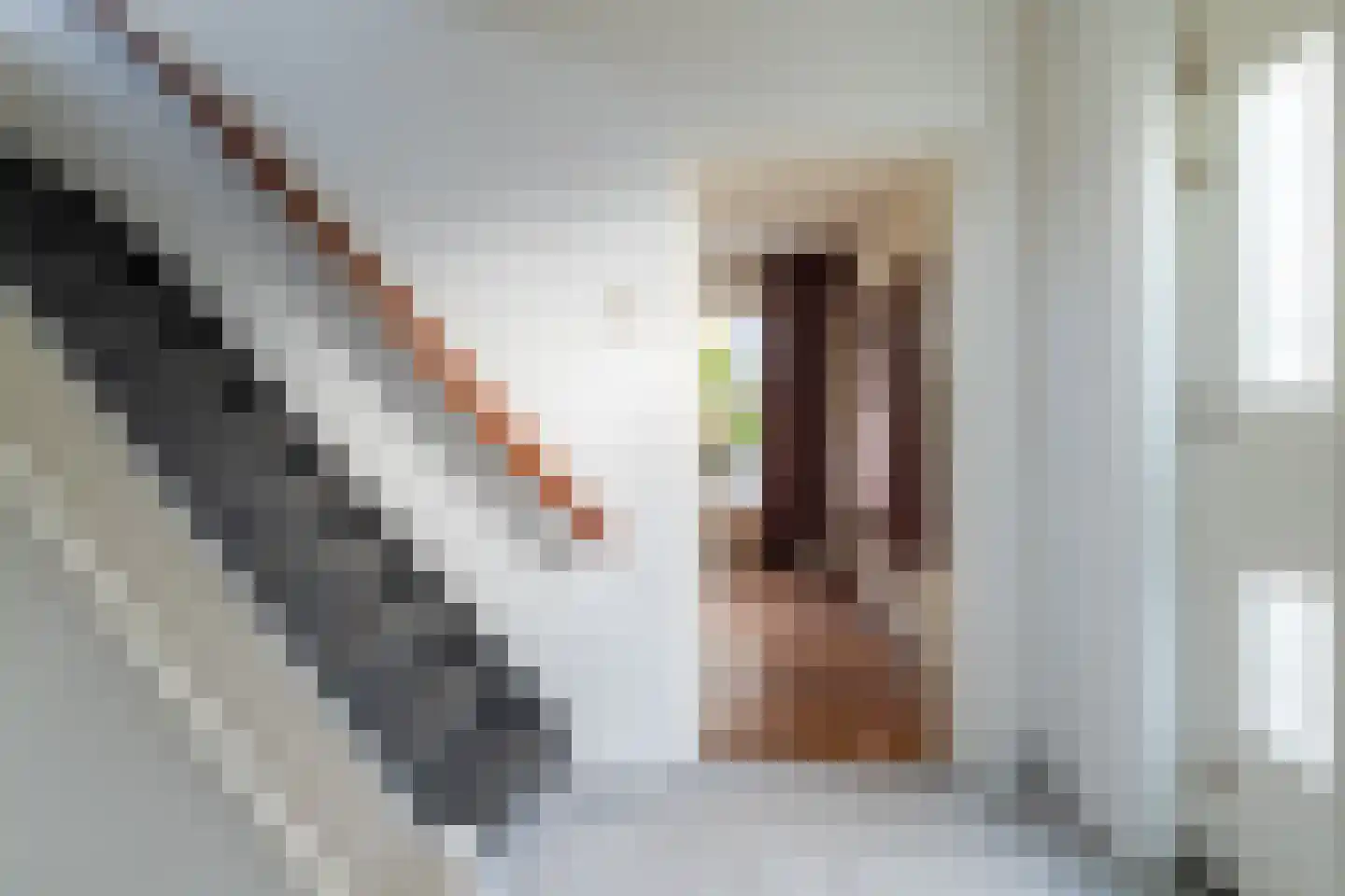 Nieuwevaart 2 Sprang-Capelle thumbnail 12