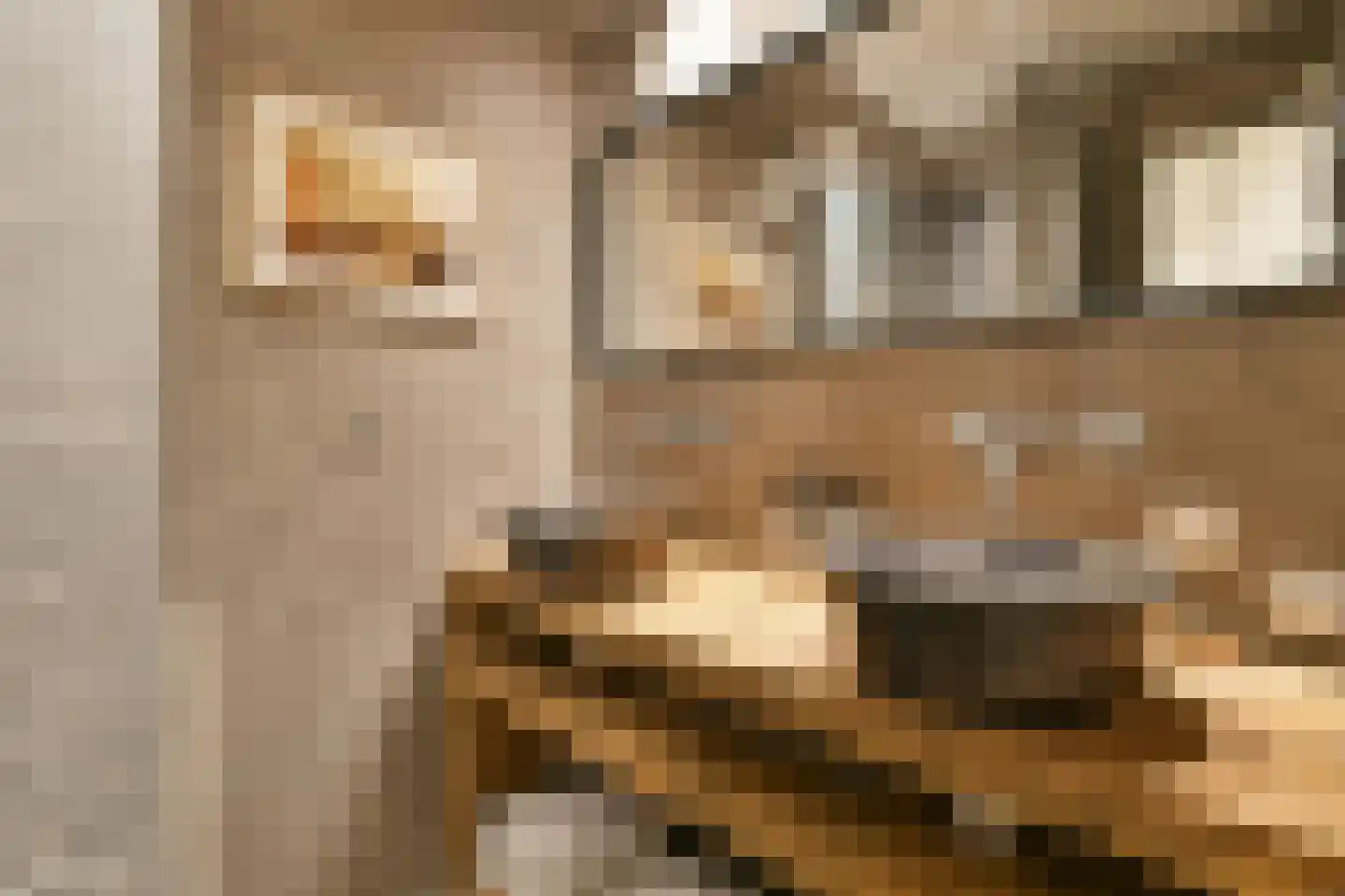 Nieuwevaart 203 Amsterdam thumbnail 29