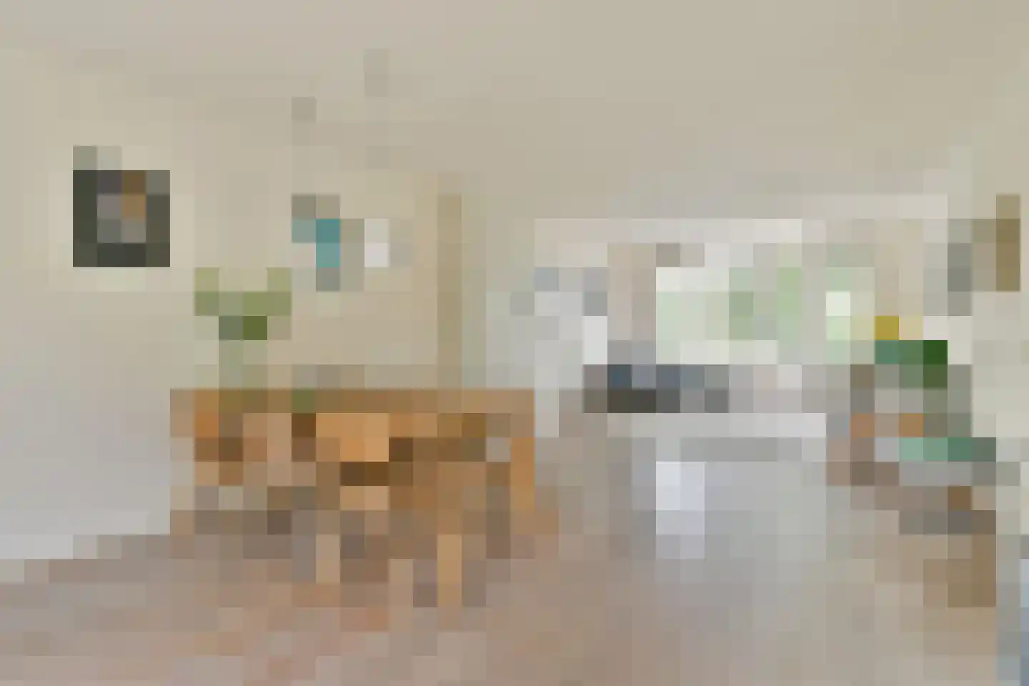 Nieuwevaart 203 Amsterdam thumbnail 5
