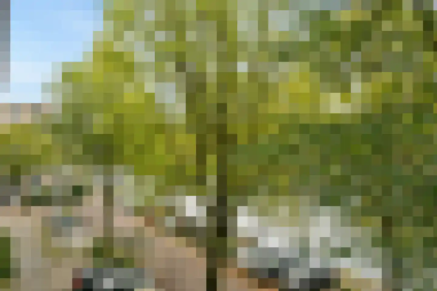 Nieuwevaart 203 Amsterdam thumbnail 8